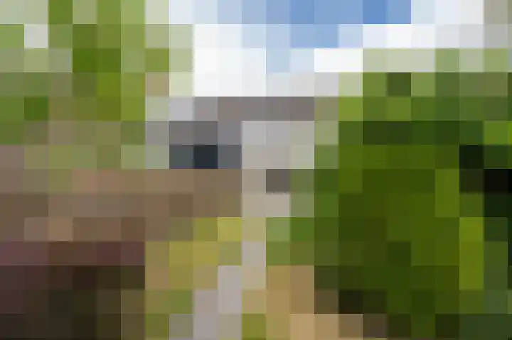 Wiemers 8 Veendam thumbnail 32