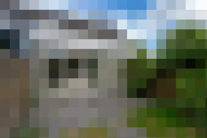 Wiemers 8 Veendam thumbnail 33