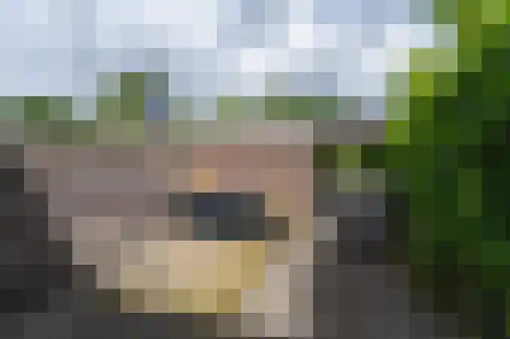 Wiemers 8 Veendam thumbnail 34
