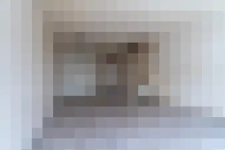 Wiemers 8 Veendam thumbnail 6