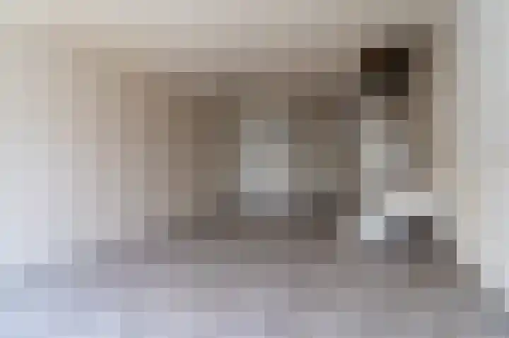 Wiemers 8 Veendam thumbnail 7