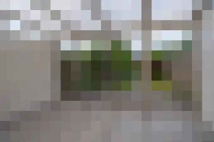 Wiemers 8 Veendam thumbnail 8