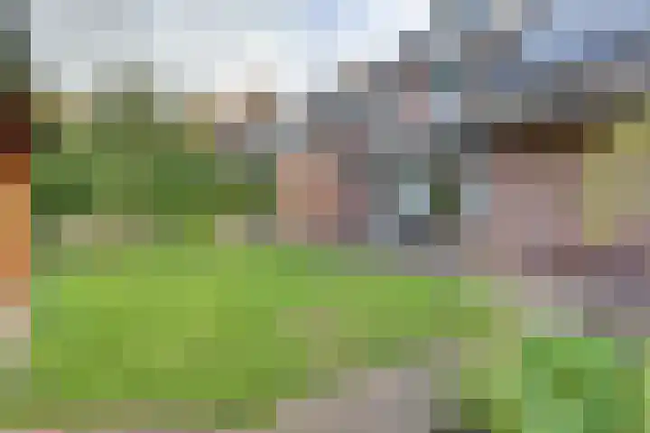 Wienkeskoel 34 Melick thumbnail 33