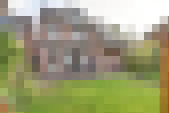Wienkeskoel 34 Melick thumbnail 6