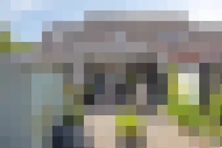 Wienkeskoel 59 Melick thumbnail 34