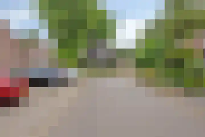 Wienkeskoel 59 Melick thumbnail 38