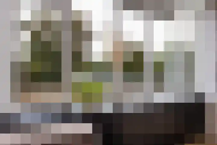 Wiepkingstraat 5 Apeldoorn thumbnail 21
