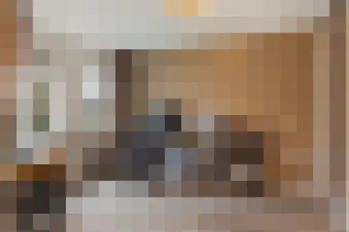 Wiepkingstraat 5 Apeldoorn thumbnail 34