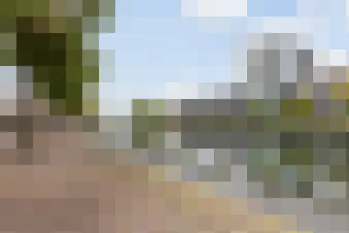 Wiepkingstraat 5 Apeldoorn thumbnail 38