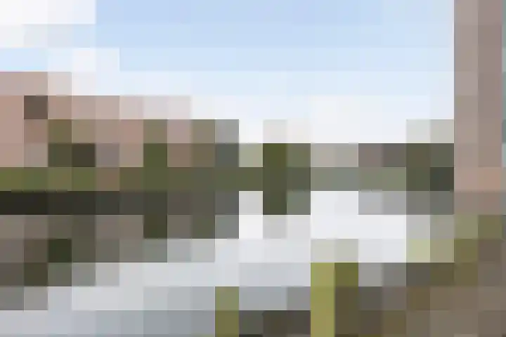 Wiepkingstraat 5 Apeldoorn thumbnail 39