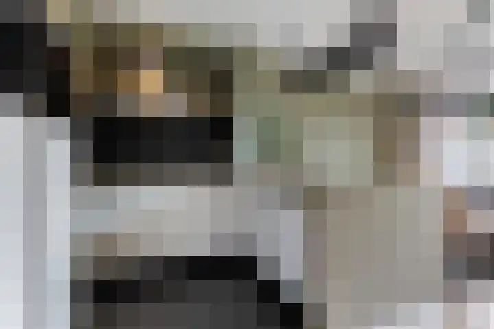 Wiepkingstraat 5 Apeldoorn thumbnail 4