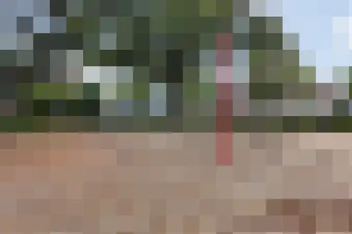 Wiepkingstraat 5 Apeldoorn thumbnail 41