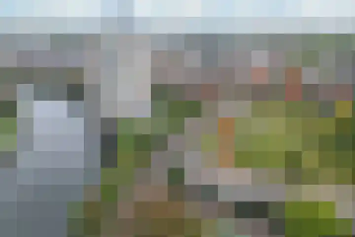 Wiepkingstraat 5 Apeldoorn thumbnail 42