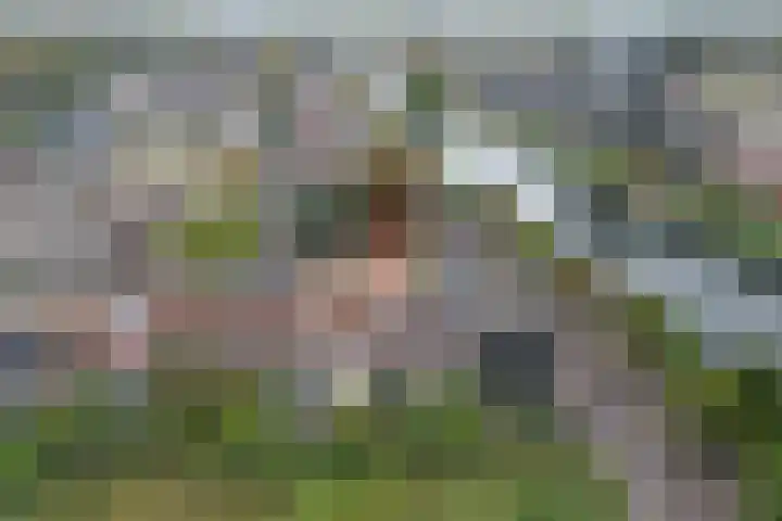 Wiepkingstraat 5 Apeldoorn thumbnail 43