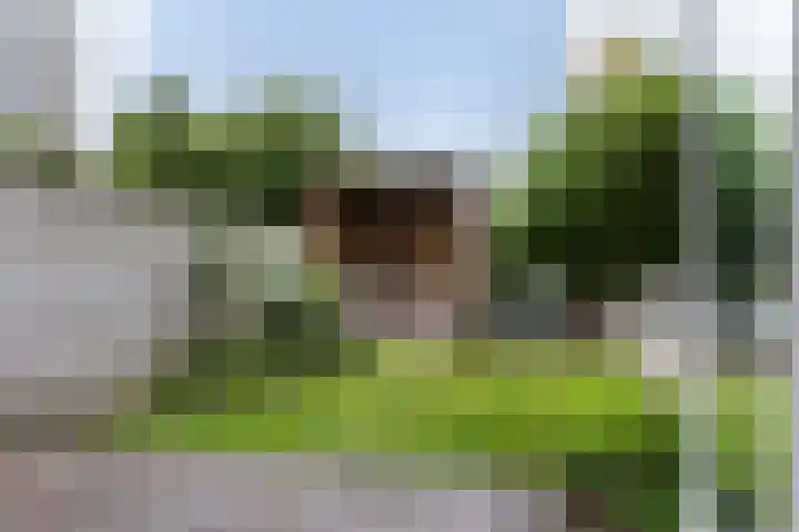 Wiepkingstraat 5 Apeldoorn thumbnail 7