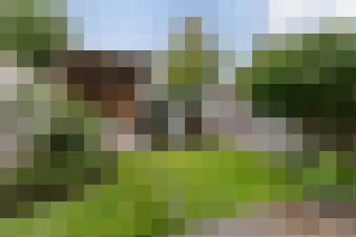 Wiepkingstraat 5 Apeldoorn thumbnail 8