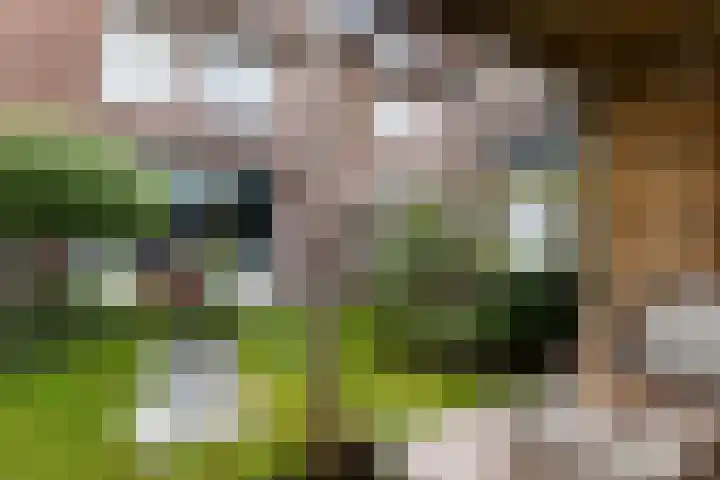 Wiepkingstraat 5 Apeldoorn thumbnail 9