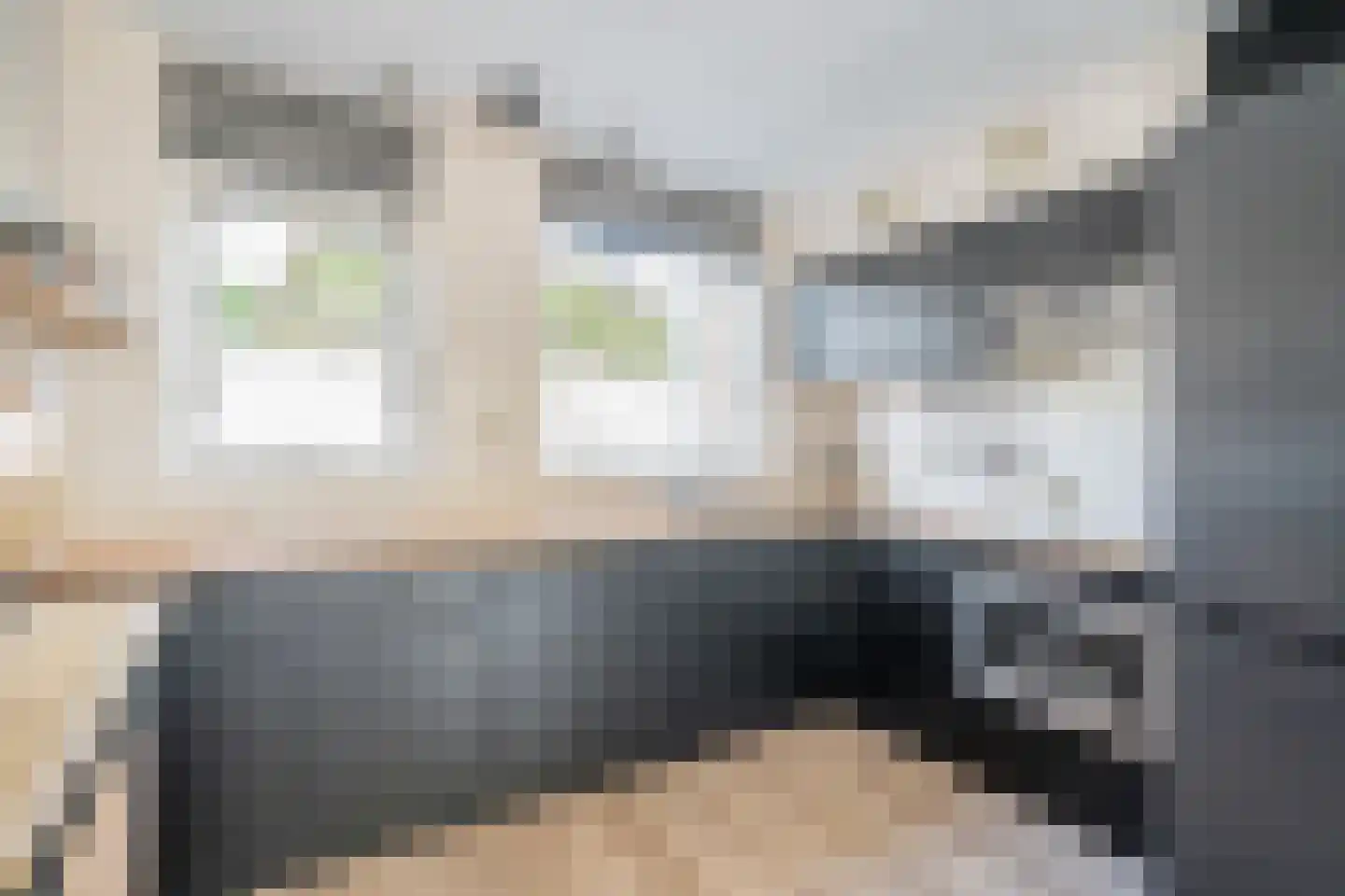 Wiepkje Barendrechtlaan 28 Rijswijk thumbnail 15