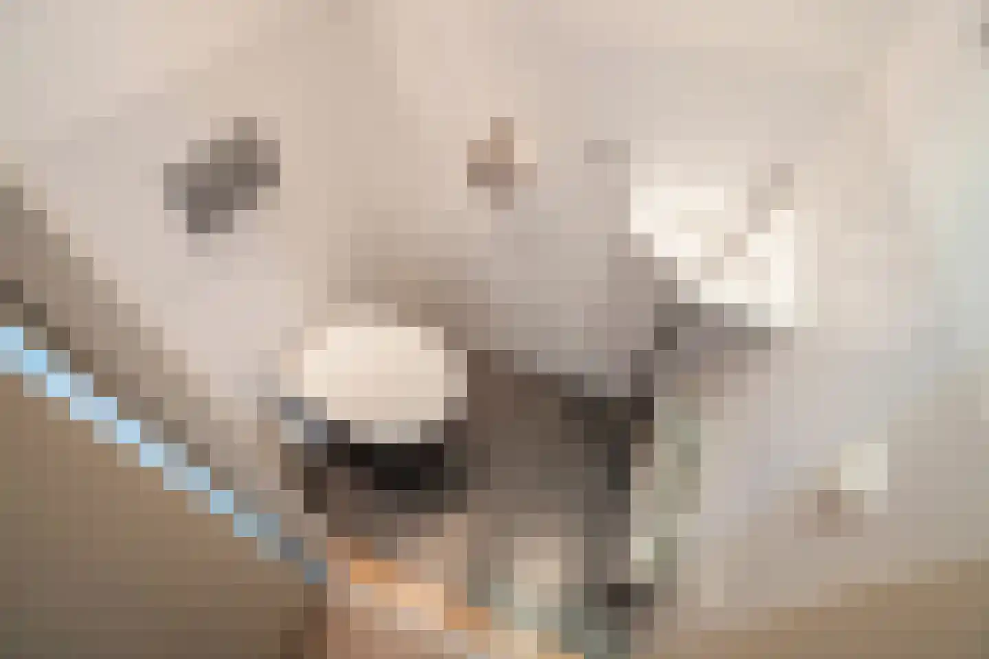 Wiepkje Barendrechtlaan 28 Rijswijk thumbnail 17