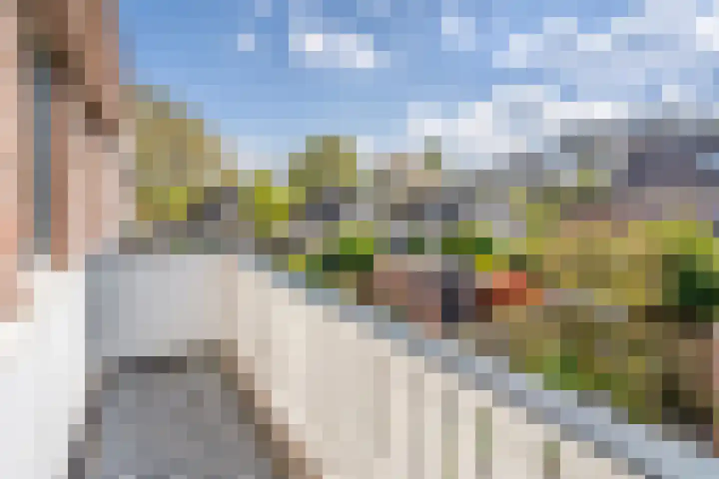 Wiepkje Barendrechtlaan 28 Rijswijk thumbnail 22