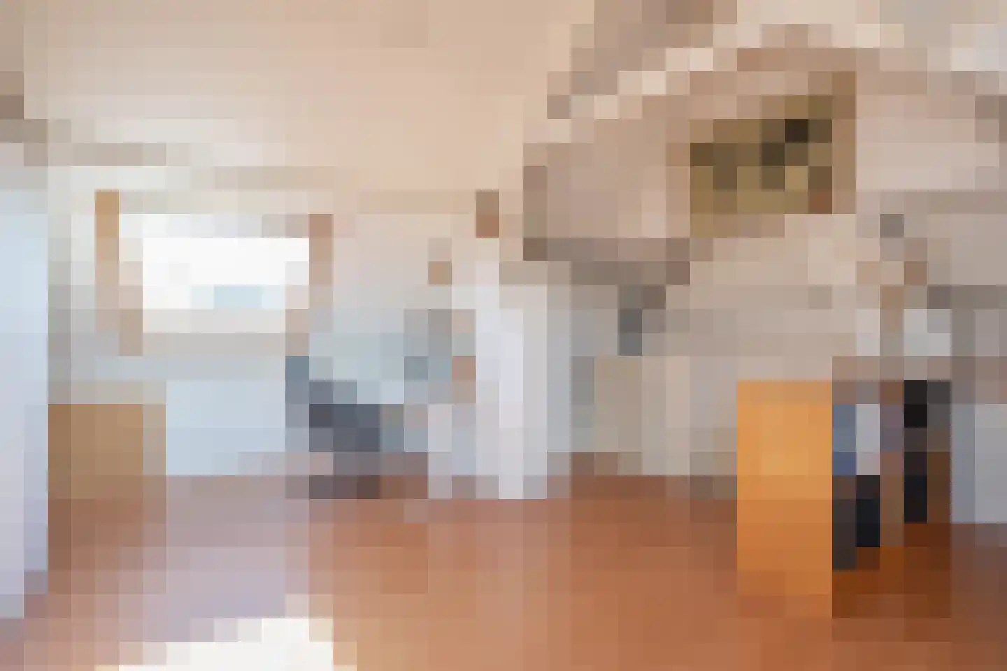 Wiepkje Barendrechtlaan 28 Rijswijk thumbnail 30