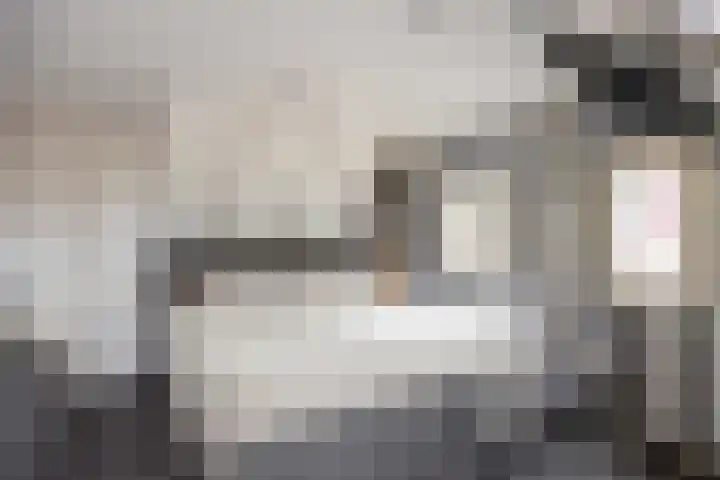 Wier 10 Baflo thumbnail 28
