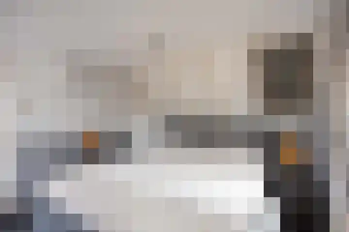 Wier 10 Baflo thumbnail 29