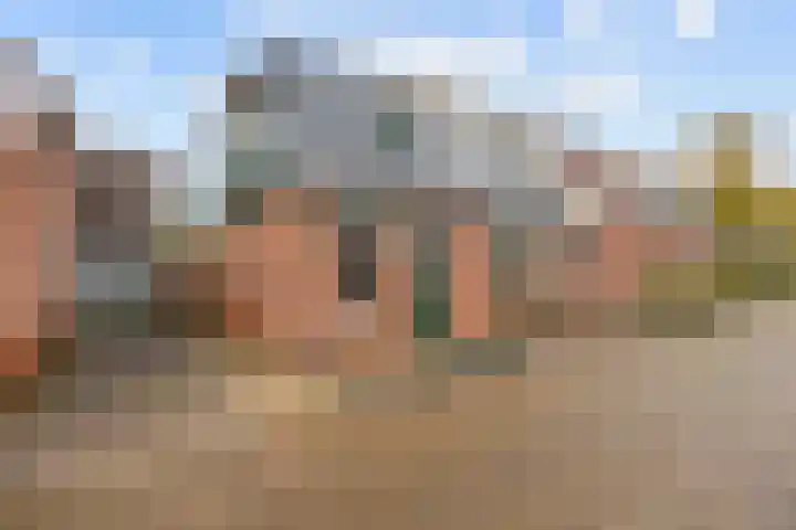 Wier 10 Baflo foto 3