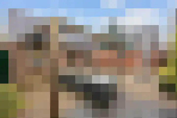Wier 10 Baflo thumbnail 38