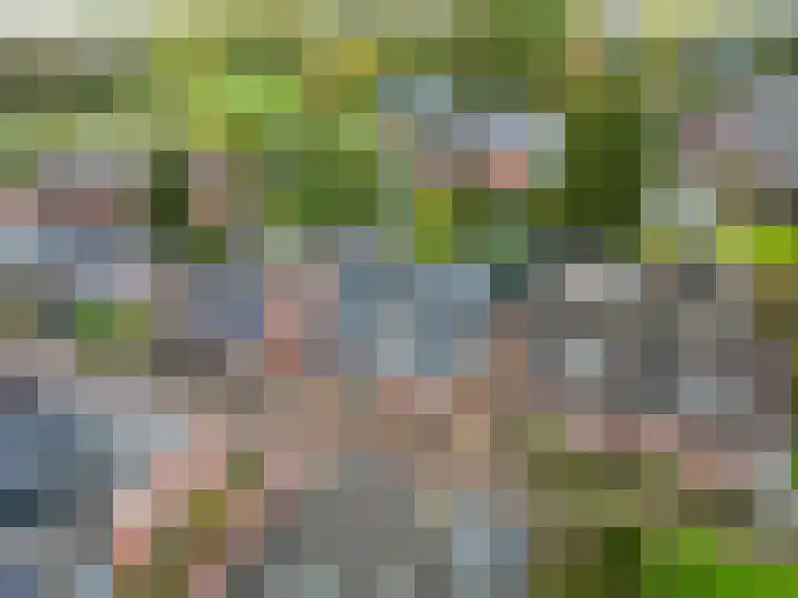 Wier 10 Baflo thumbnail 5