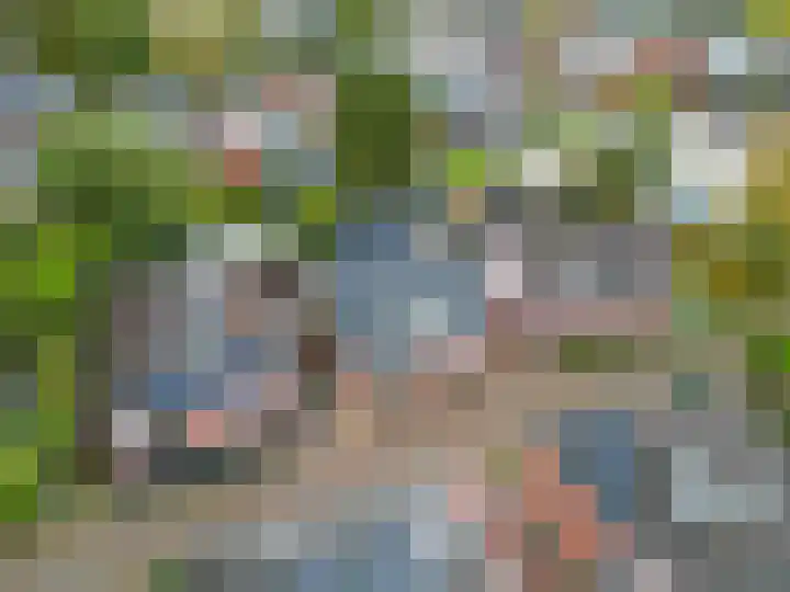 Wier 10 Baflo thumbnail 6