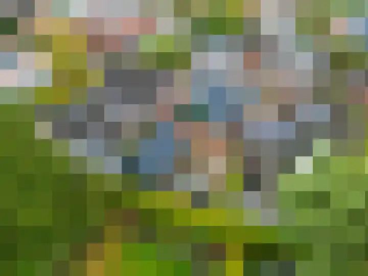 Wier 10 Baflo thumbnail 8