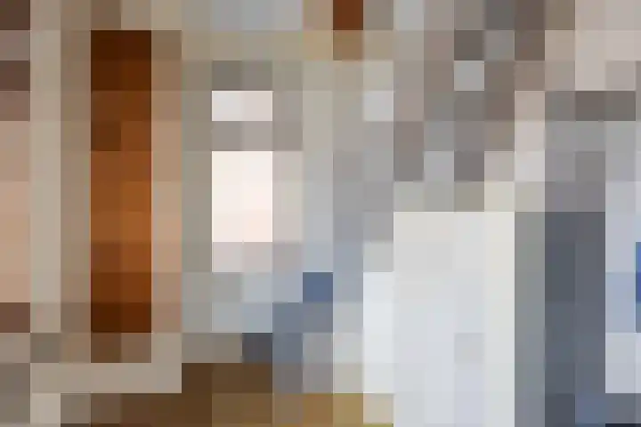 Wier 10 Baflo thumbnail 9