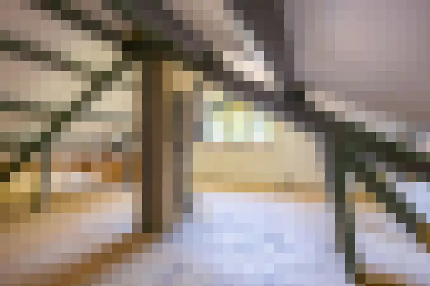 Wier 19 Baflo thumbnail 22