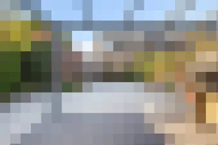 Wierbalg 1117 Julianadorp thumbnail 12