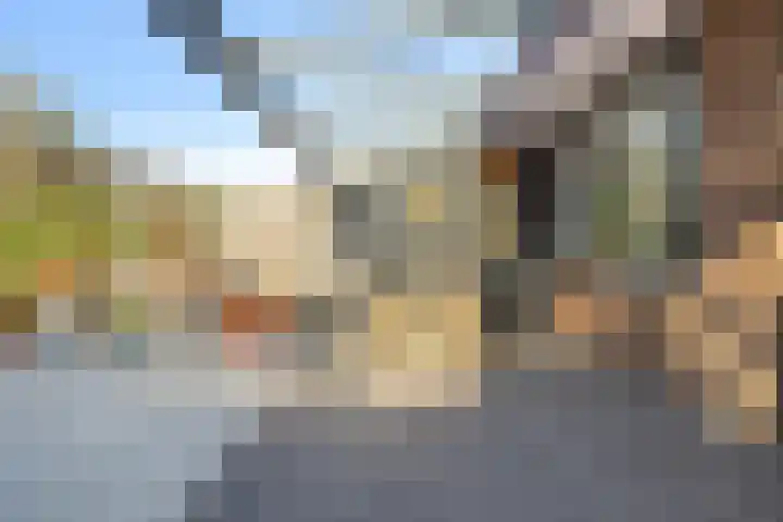 Wierbalg 1117 Julianadorp thumbnail 13
