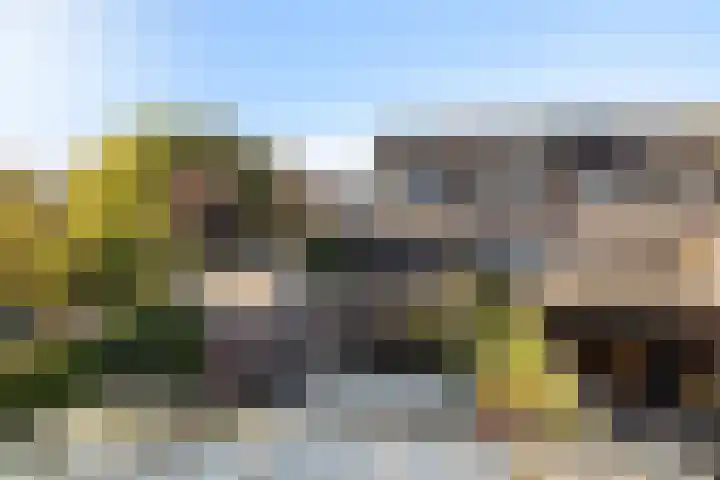 Wierbalg 1117 Julianadorp thumbnail 18