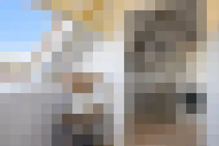 Wierbalg 1117 Julianadorp thumbnail 25