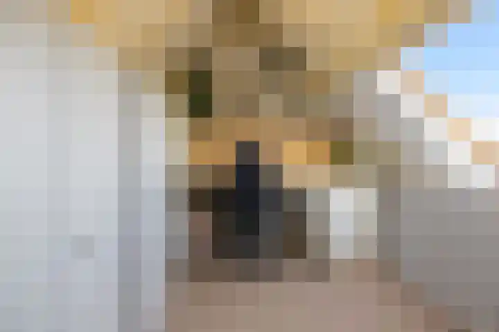 Wierbalg 1117 Julianadorp thumbnail 26