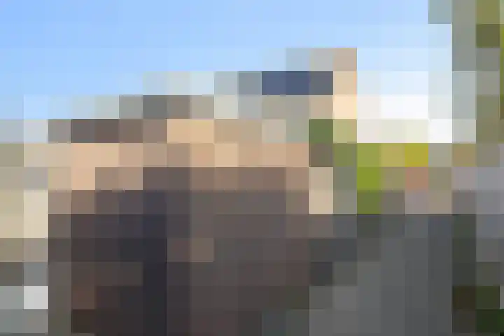 Wierbalg 1117 Julianadorp thumbnail 27