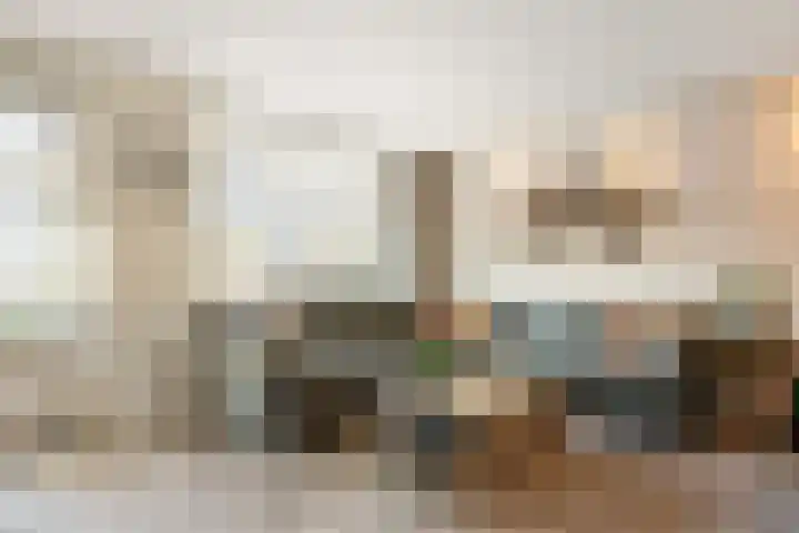 Wierbalg 1117 Julianadorp thumbnail 7