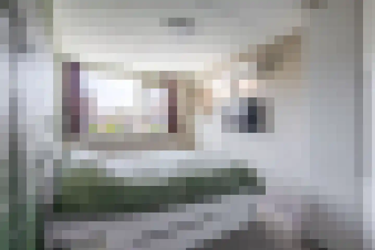 Wierbalg 1160 Julianadorp thumbnail 17