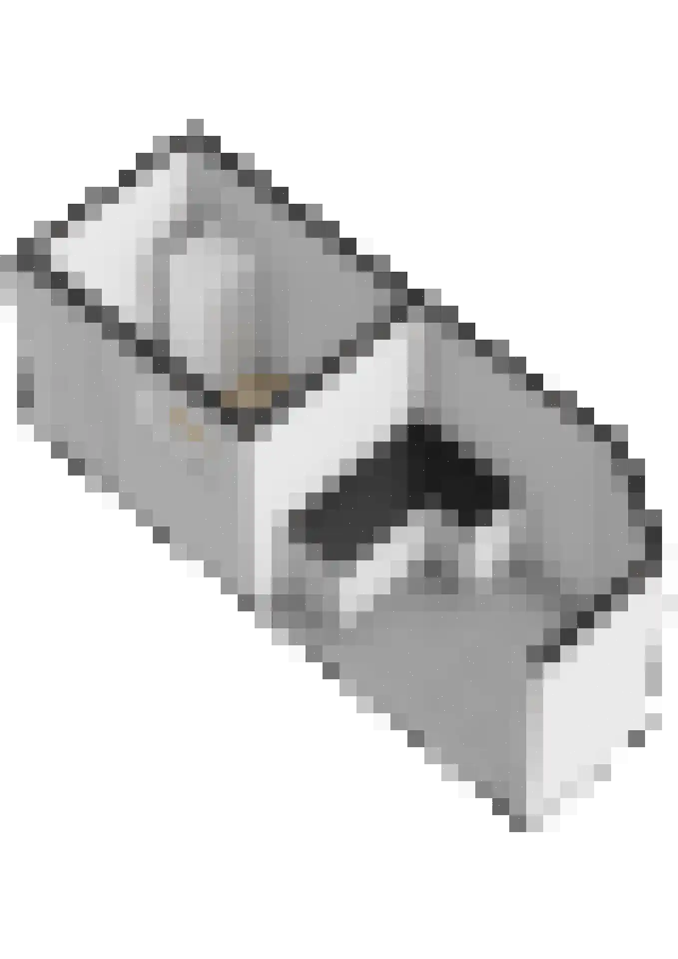 Wierbalg 1160 Julianadorp thumbnail 34