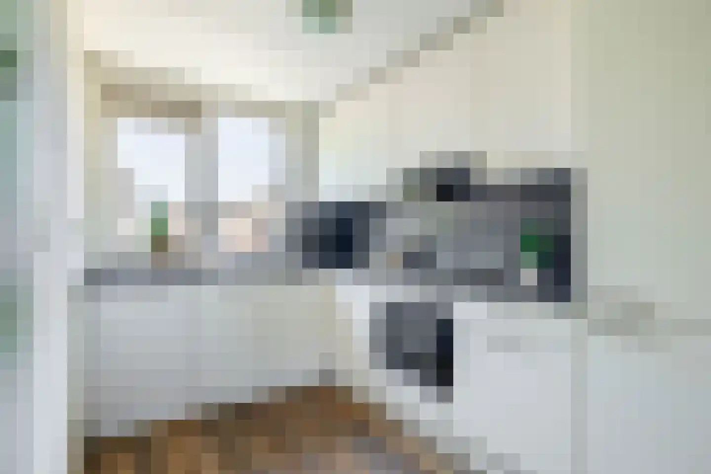 Wierbalg 1165 Julianadorp thumbnail 15