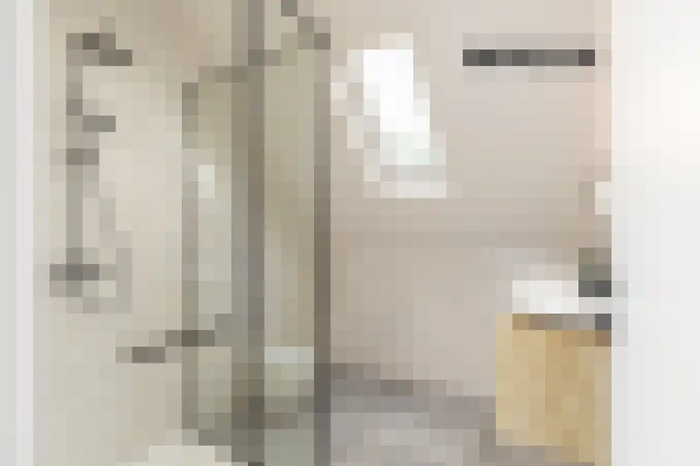 Wierbalg 1165 Julianadorp thumbnail 27