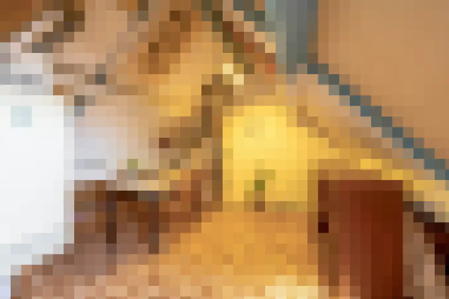 Wierbalg 1165 Julianadorp thumbnail 30