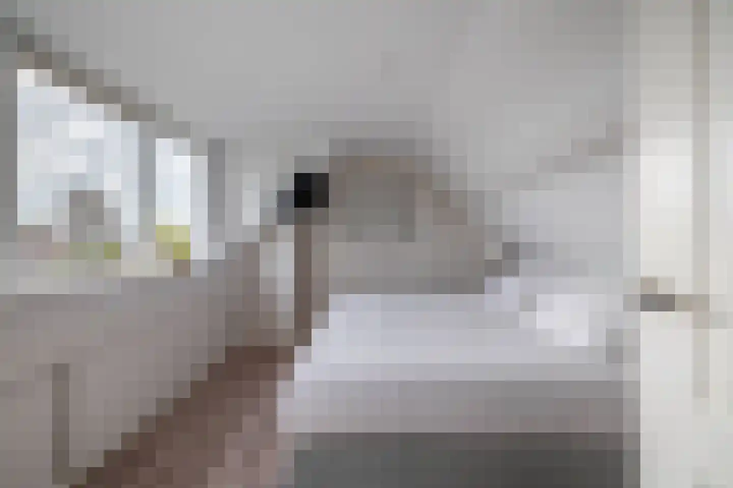 Wierbalg 1175 Julianadorp thumbnail 25