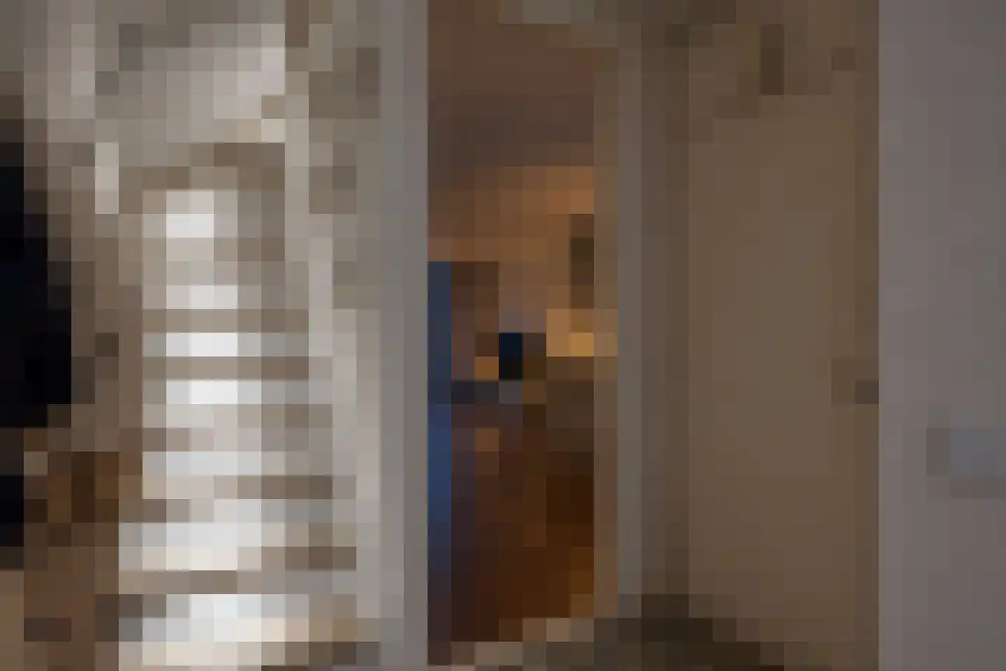 Wierbalg 1175 Julianadorp thumbnail 5
