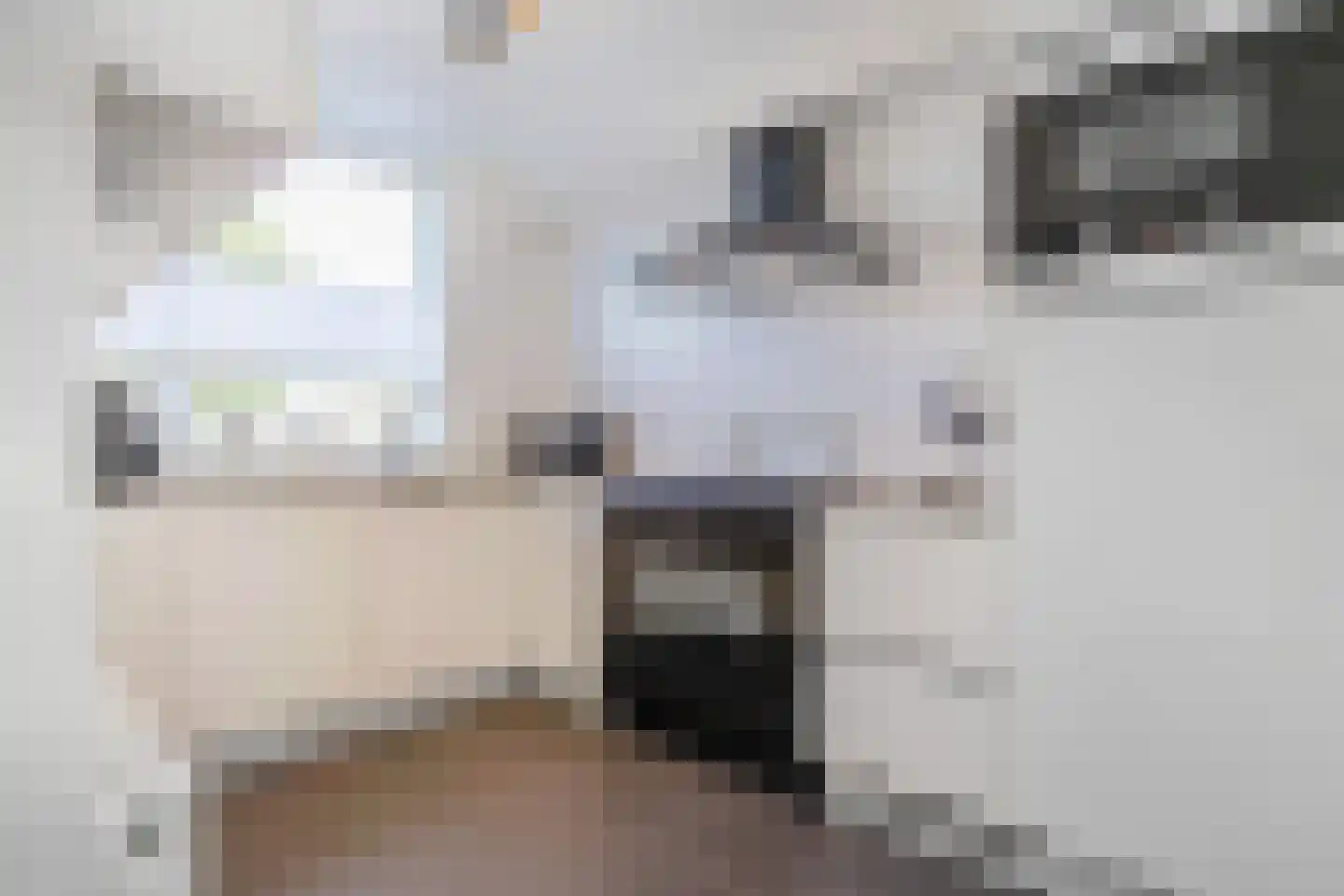 Wierbalg 1186 Julianadorp thumbnail 10