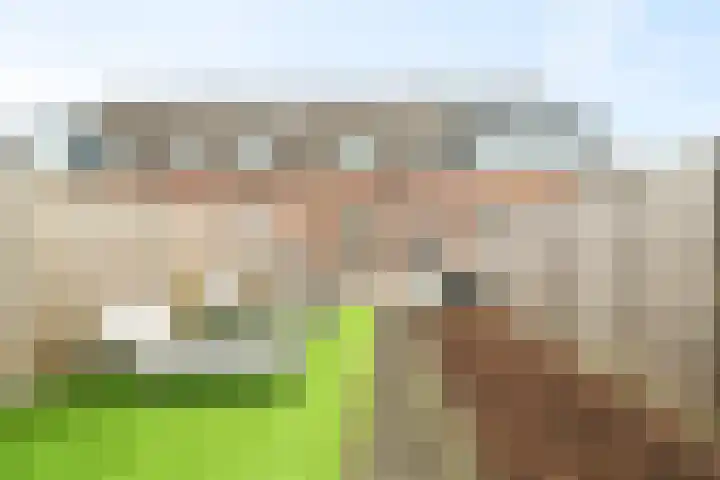Wierbalg 1189 Julianadorp thumbnail 13